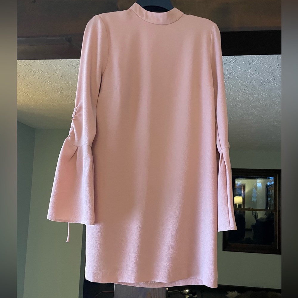 WAYF Pink Long Sleeve Dress (Size unknown - I think it fits like a small)